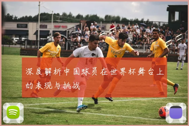深度解析中国球员在世界杯舞台上的表现与挑战