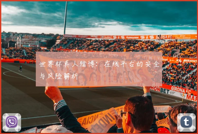世界杯真人赌博:在线平台的安全与风险解析
