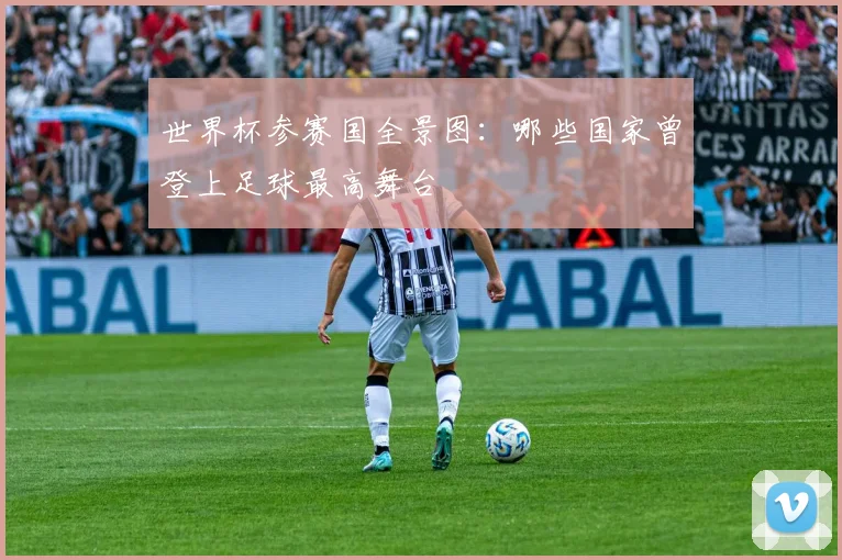 世界杯参赛国全景图：哪些国家曾登上足球最高舞台