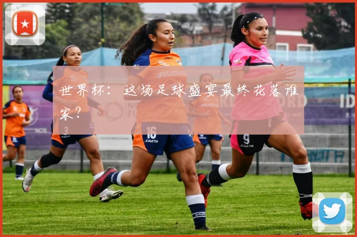 世界杯：这场足球盛宴最终花落谁家？
