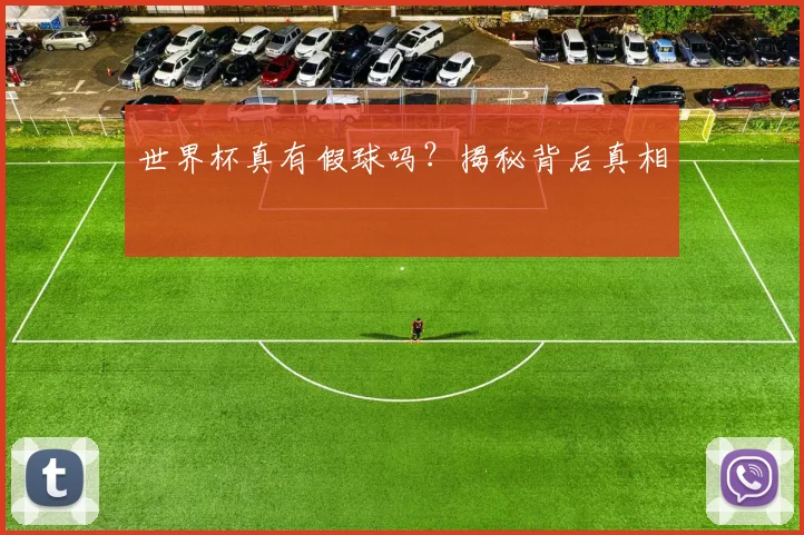 世界杯真有假球吗?揭秘背后真相