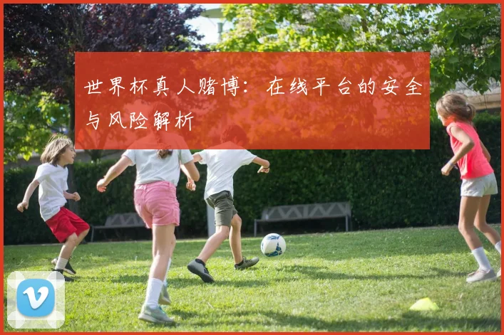 世界杯真人赌博：在线平台的安全与风险解析