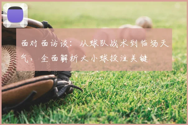面对面访谈：从球队战术到临场天气，全面解析大小球投注关键