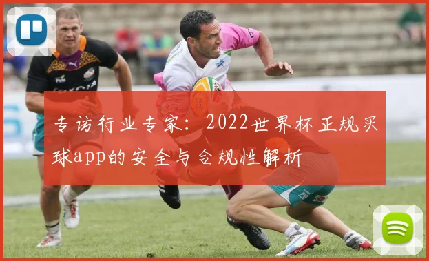 专访行业专家:2022世界杯正规买球app的安全与合规性解析