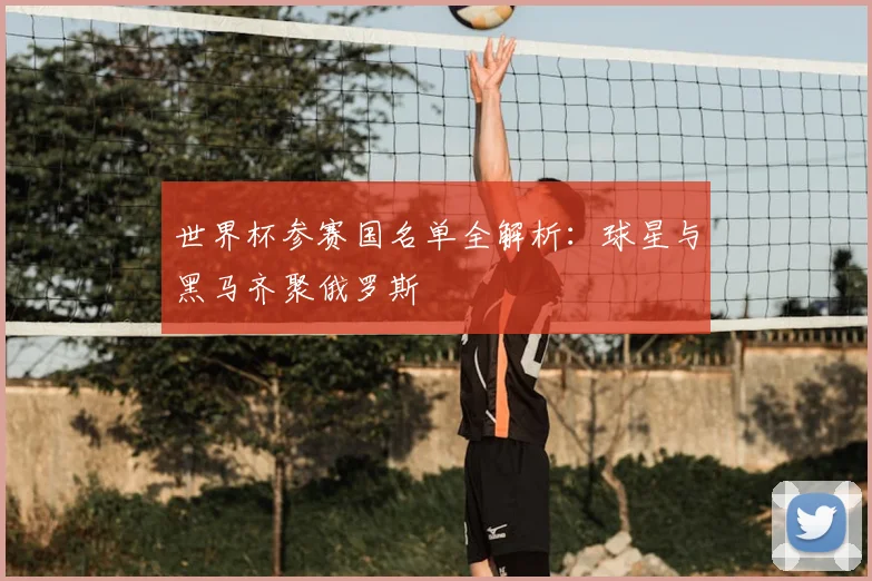 世界杯参赛国名单全解析:球星与黑马齐聚俄罗斯