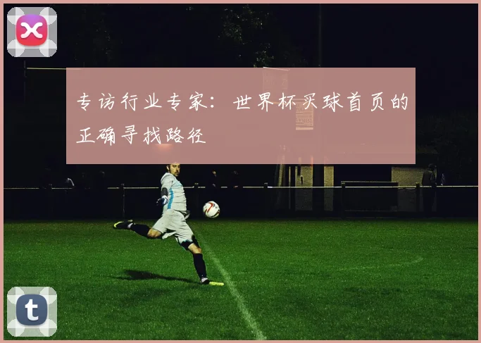 专访行业专家：世界杯买球首页的正确寻找路径