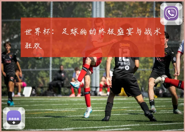 世界杯:足球狗的终极盛宴与战术狂欢