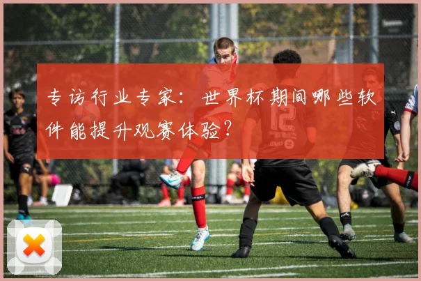 专访行业专家:世界杯期间哪些软件能提升观赛体验?